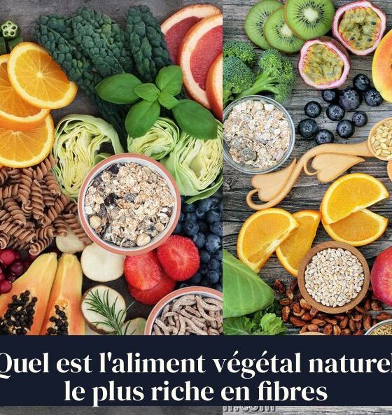 Quel est l'aliment végétal naturel le plus riche en fibres