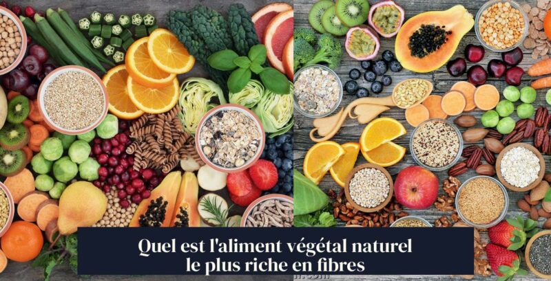 Quel est l'aliment végétal naturel le plus riche en fibres