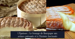 L'Époisses : Le fromage de Bourgogne aux arômes puissants et à l'histoire fascinante
