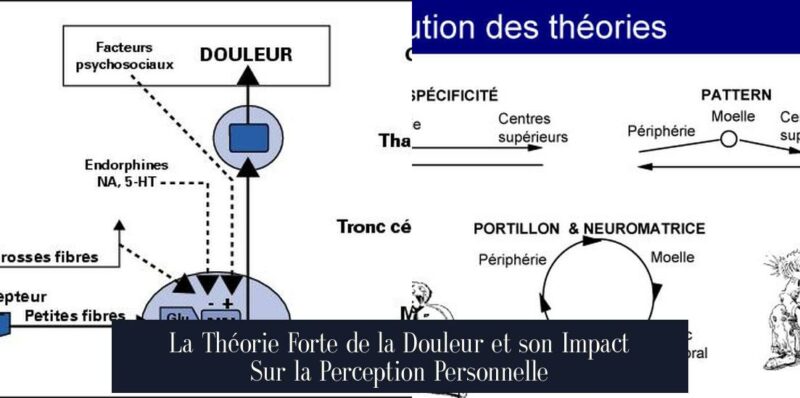 La Théorie Forte de la Douleur et son Impact Sur la Perception Personnelle