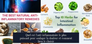 Quel est l'anti-inflammatoire le plus puissant pour soulager la douleur et comment bien le choisir