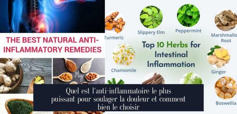 Quel est l'anti-inflammatoire le plus puissant pour soulager la douleur et comment bien le choisir