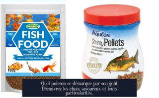 Quel poisson se démarque par son goût Découvrez les choix savoureux et leurs particularités.
