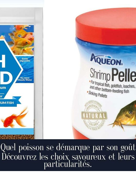 Quel poisson se démarque par son goût Découvrez les choix savoureux et leurs particularités.