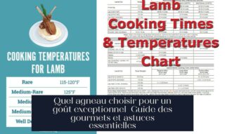 Quel agneau choisir pour un goût exceptionnel Guide des gourmets et astuces essentielles