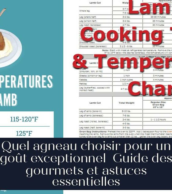 Quel agneau choisir pour un goût exceptionnel Guide des gourmets et astuces essentielles