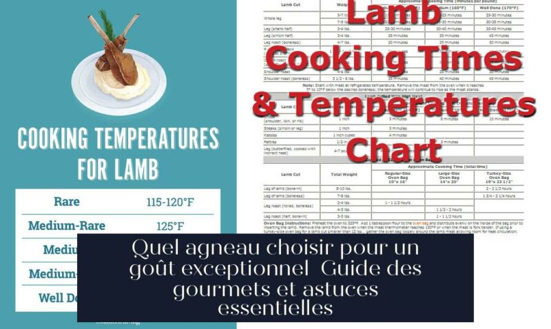Quel agneau choisir pour un goût exceptionnel Guide des gourmets et astuces essentielles