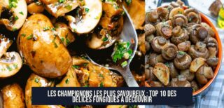 Les champignons les plus savoureux : Top 10 des délices fongiques à découvrir