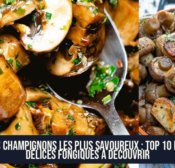 Les champignons les plus savoureux : Top 10 des délices fongiques à découvrir
