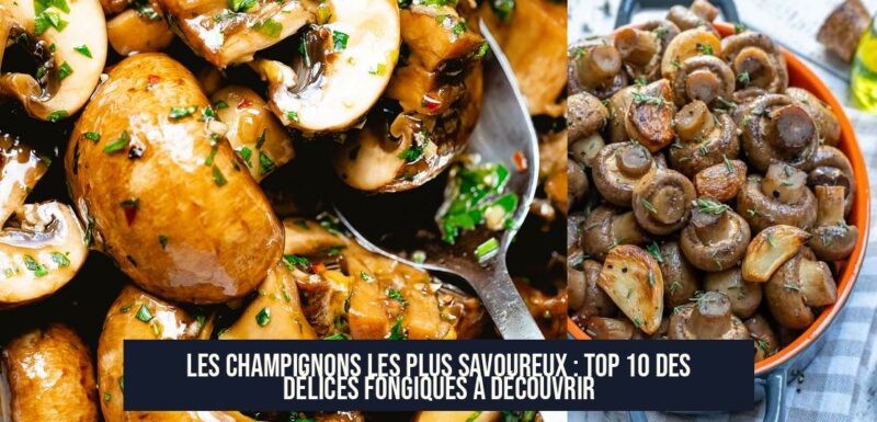 Les champignons les plus savoureux : Top 10 des délices fongiques à découvrir