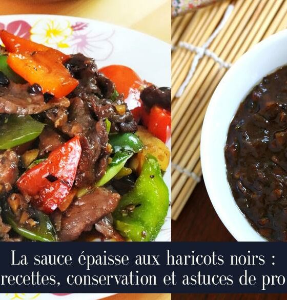 La sauce épaisse aux haricots noirs : recettes, conservation et astuces de pro