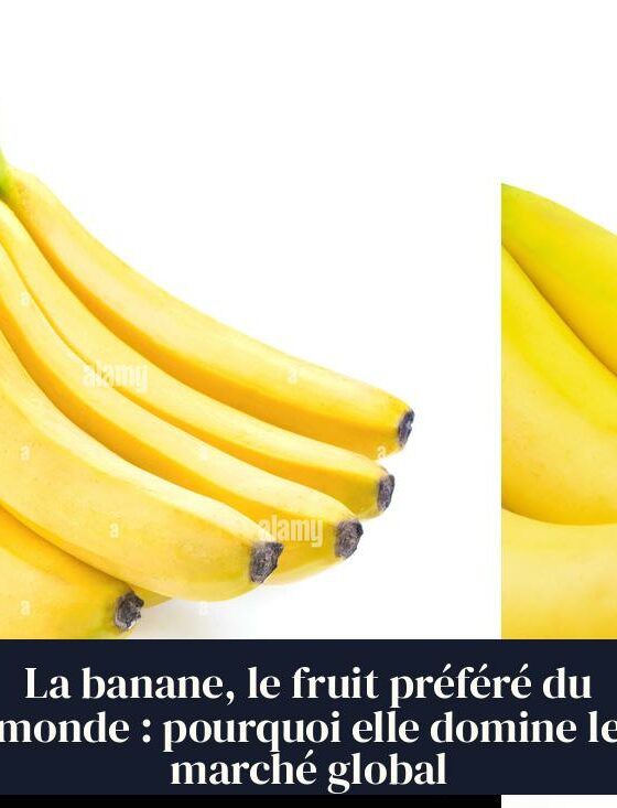 La banane, le fruit préféré du monde : pourquoi elle domine le marché global