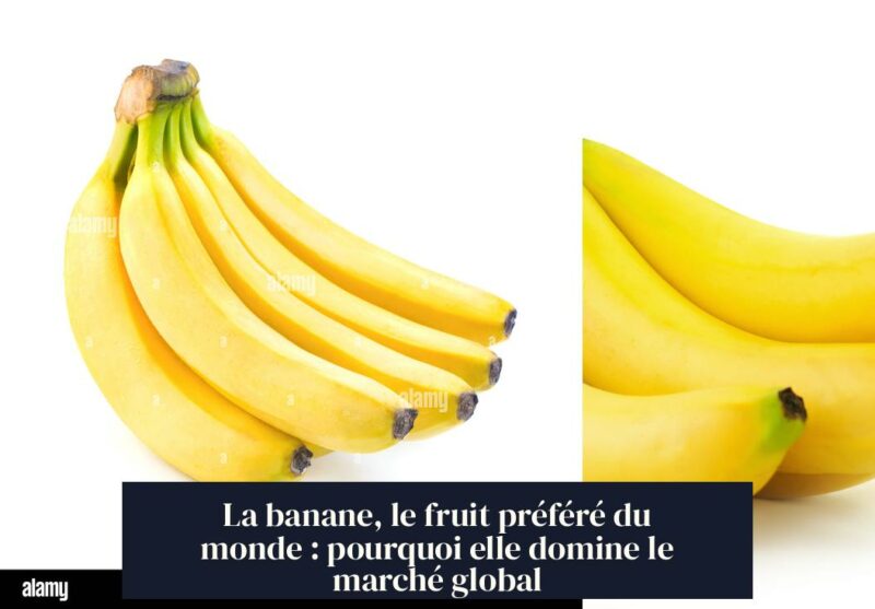 La banane, le fruit préféré du monde : pourquoi elle domine le marché global