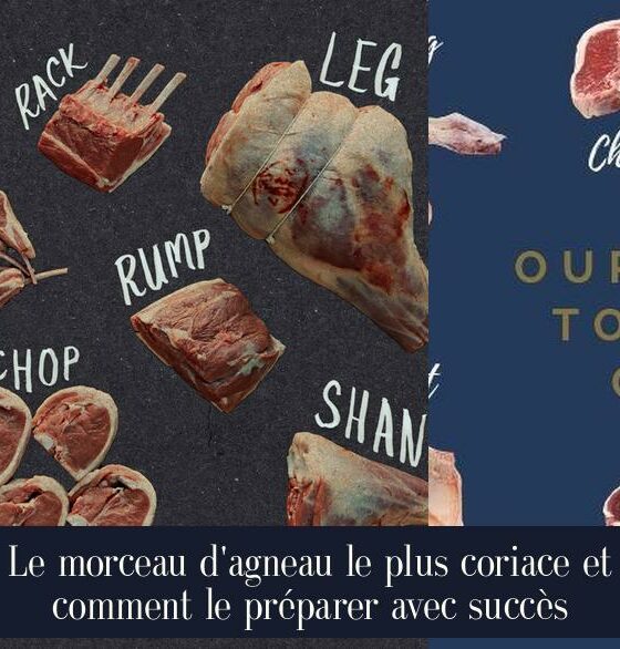 Le morceau d'agneau le plus coriace et comment le préparer avec succès