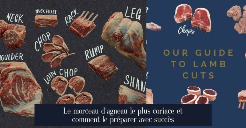 Le morceau d'agneau le plus coriace et comment le préparer avec succès
