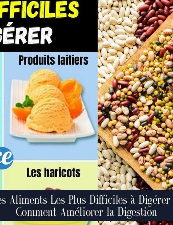 Les Aliments Les Plus Difficiles à Digérer et Comment Améliorer la Digestion
