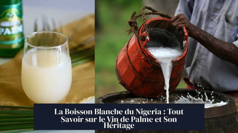 La Boisson Blanche du Nigeria : Tout Savoir sur le Vin de Palme et Son Héritage