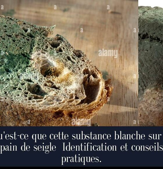 Qu'est-ce que cette substance blanche sur le pain de seigle Identification et conseils pratiques.
