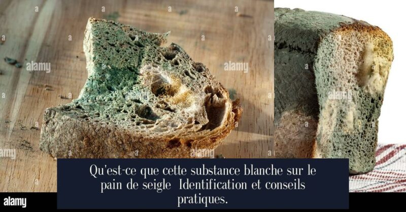 Qu'est-ce que cette substance blanche sur le pain de seigle Identification et conseils pratiques.