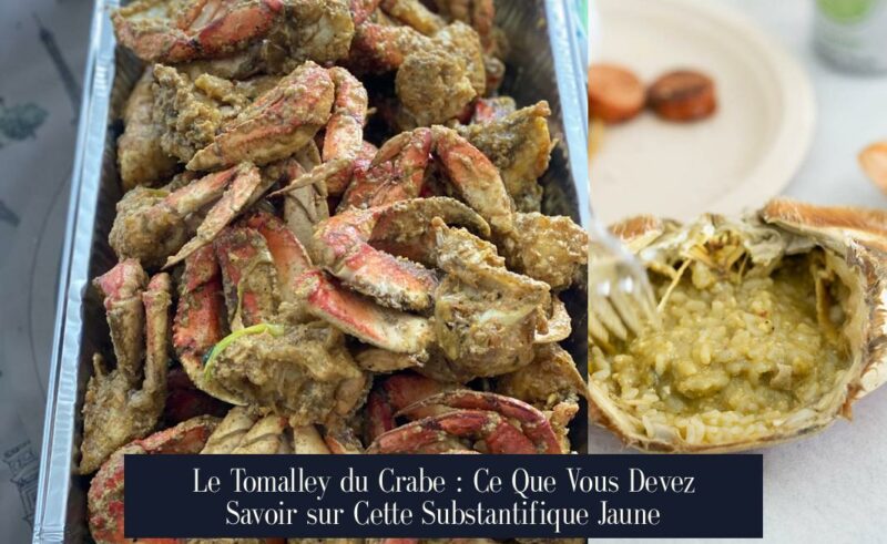 Le Tomalley du Crabe : Ce Que Vous Devez Savoir sur Cette Substantifique Jaune