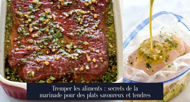 Tremper les aliments : secrets de la marinade pour des plats savoureux et tendres