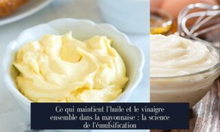 Ce qui maintient l'huile et le vinaigre ensemble dans la mayonnaise : la science de l'émulsification