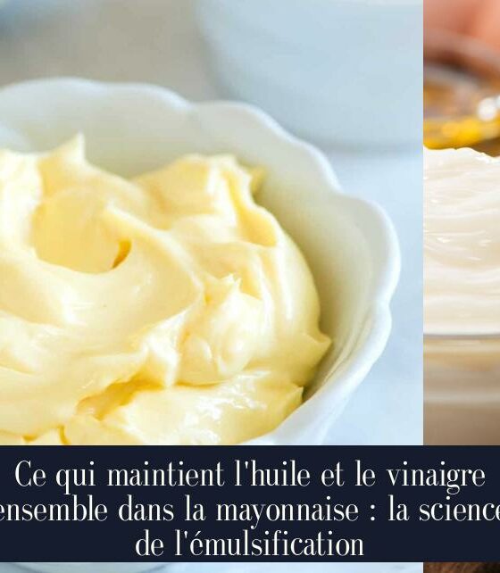 Ce qui maintient l'huile et le vinaigre ensemble dans la mayonnaise : la science de l'émulsification