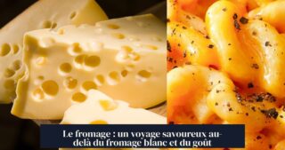 Le fromage : un voyage savoureux au-delà du fromage blanc et du goût