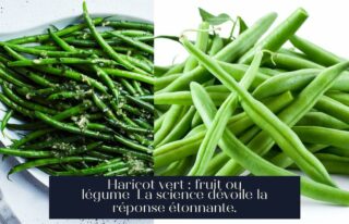 Haricot vert : fruit ou légume La science dévoile la réponse étonnante.