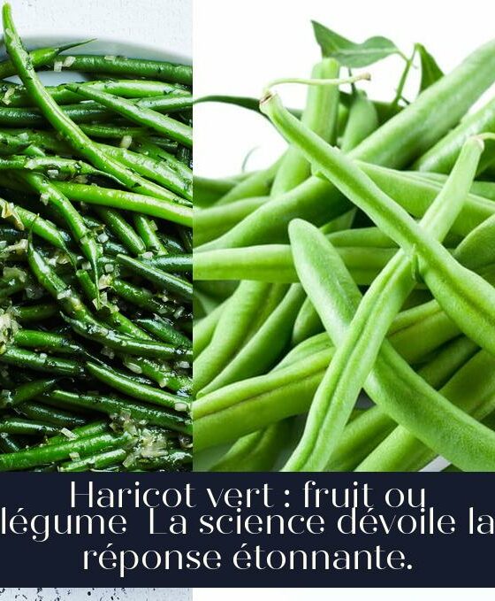 Haricot vert : fruit ou légume La science dévoile la réponse étonnante.