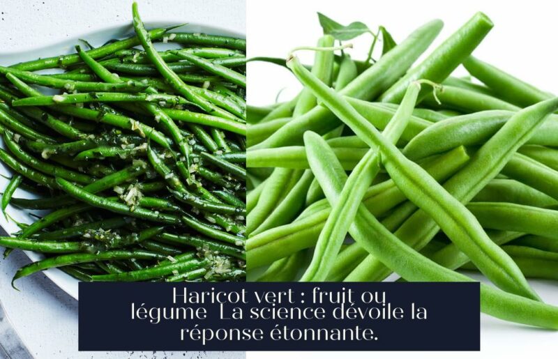 Haricot vert : fruit ou légume La science dévoile la réponse étonnante.