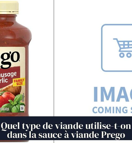 Quel type de viande utilise-t-on dans la sauce à viande Prego