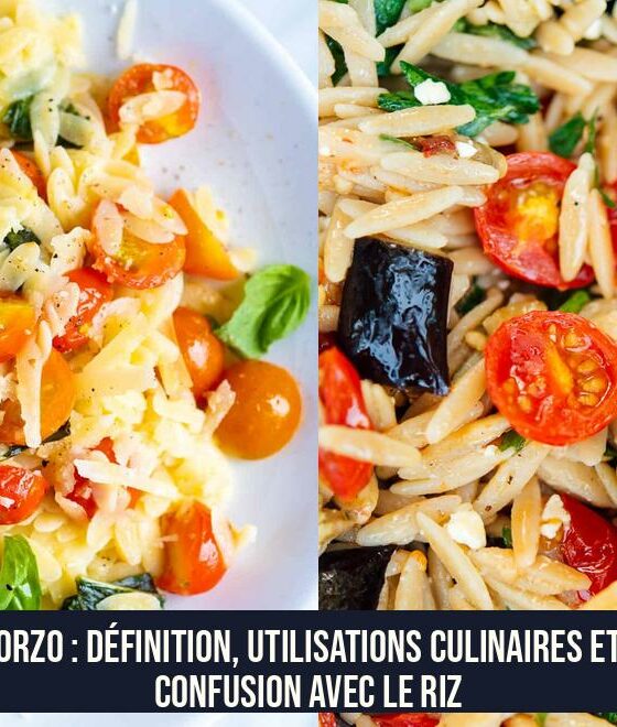 Orzo : définition, utilisations culinaires et confusion avec le riz