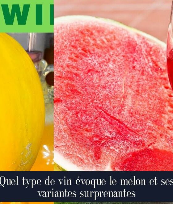 Quel type de vin évoque le melon et ses variantes surprenantes