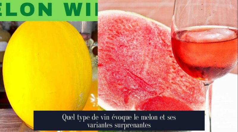 Quel type de vin évoque le melon et ses variantes surprenantes