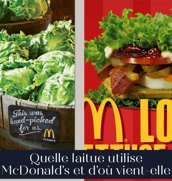 Quelle laitue utilise McDonald's et d'où vient-elle