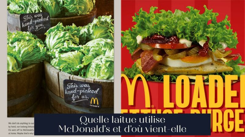 Quelle laitue utilise McDonald's et d'où vient-elle