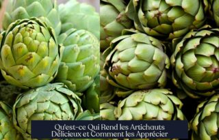 Qu'est-ce Qui Rend les Artichauts Délicieux et Comment les Apprécier