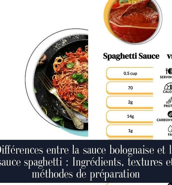 Différences entre la sauce bolognaise et la sauce spaghetti : Ingrédients, textures et méthodes de préparation