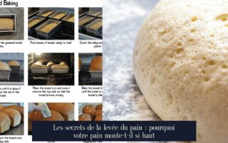 Les secrets de la levée du pain : pourquoi votre pain monte-t-il si haut