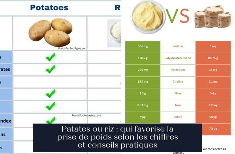 Patates ou riz : qui favorise la prise de poids selon les chiffres et conseils pratiques