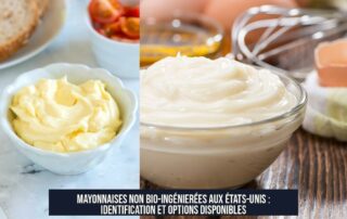 Mayonnaises non bio-ingénierées aux États-Unis : Identification et options disponibles