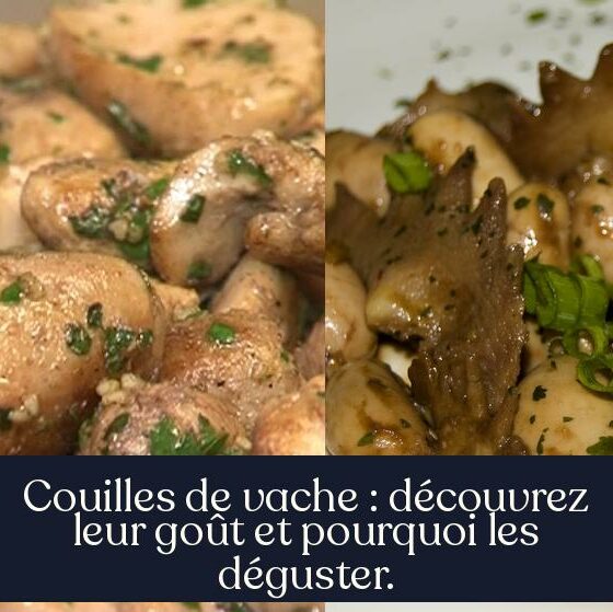 Couilles de vache : découvrez leur goût et pourquoi les déguster.
