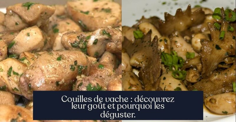 Couilles de vache : découvrez leur goût et pourquoi les déguster.