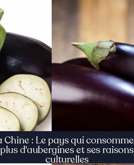 La Chine : Le pays qui consomme le plus d'aubergines et ses raisons culturelles