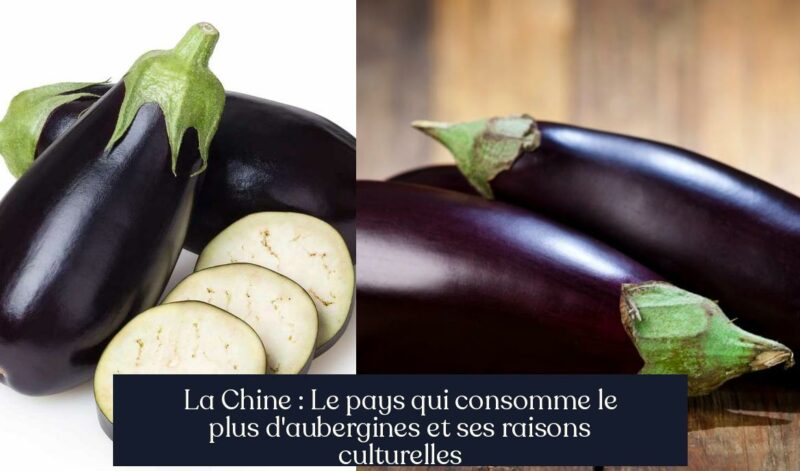 La Chine : Le pays qui consomme le plus d'aubergines et ses raisons culturelles