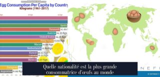 Quelle nationalité est la plus grande consommatrice d'œufs au monde