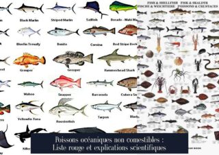 Poissons océaniques non comestibles : Liste rouge et explications scientifiques