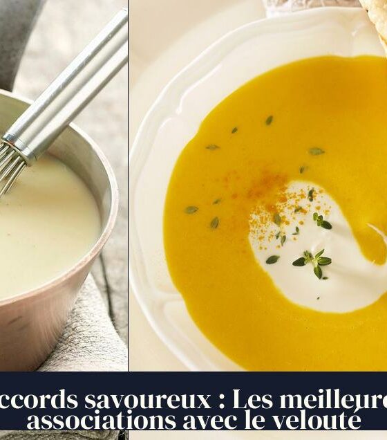 Accords savoureux : Les meilleures associations avec le velouté