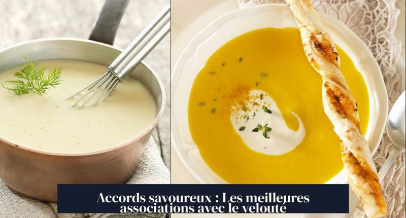 Accords savoureux : Les meilleures associations avec le velouté
